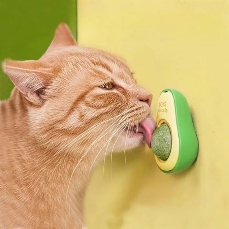 Avocado Wall‑Mounted Catnip Toy – Stick, Bat &amp; Play