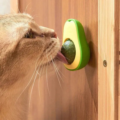 Avocado Wall‑Mounted Catnip Toy – Stick, Bat &amp; Play