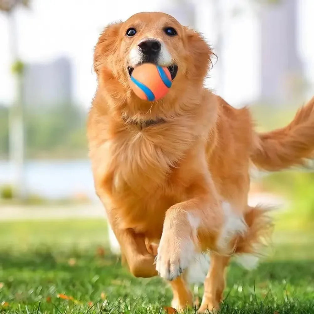 Elastic Fetch Ball – Bounce Higher, Play Longer, Train Smarter