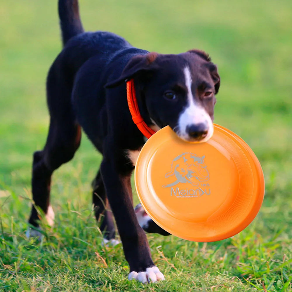 Dog Training Frisbee – Durable, Safe & Perfect for Active Dogs