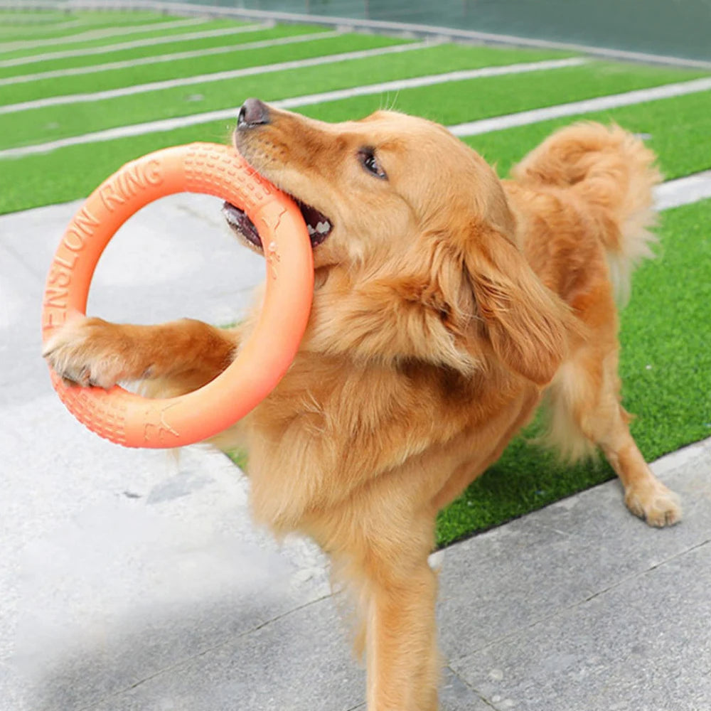 Rubber Flying Disk - Training & Chew Toy