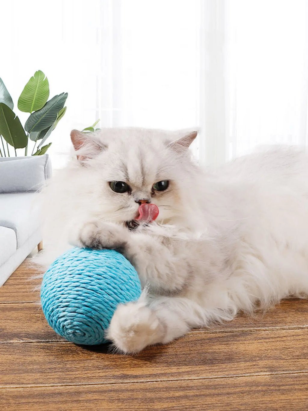 10 cm Interactive Sisal Cat Scratching Ball Toy – Teeth Cleaning & Anti‑Bite Fun