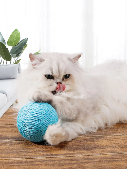 10 cm Interactive Sisal Cat Scratching Ball Toy – Teeth Cleaning & Anti‑Bite Fun