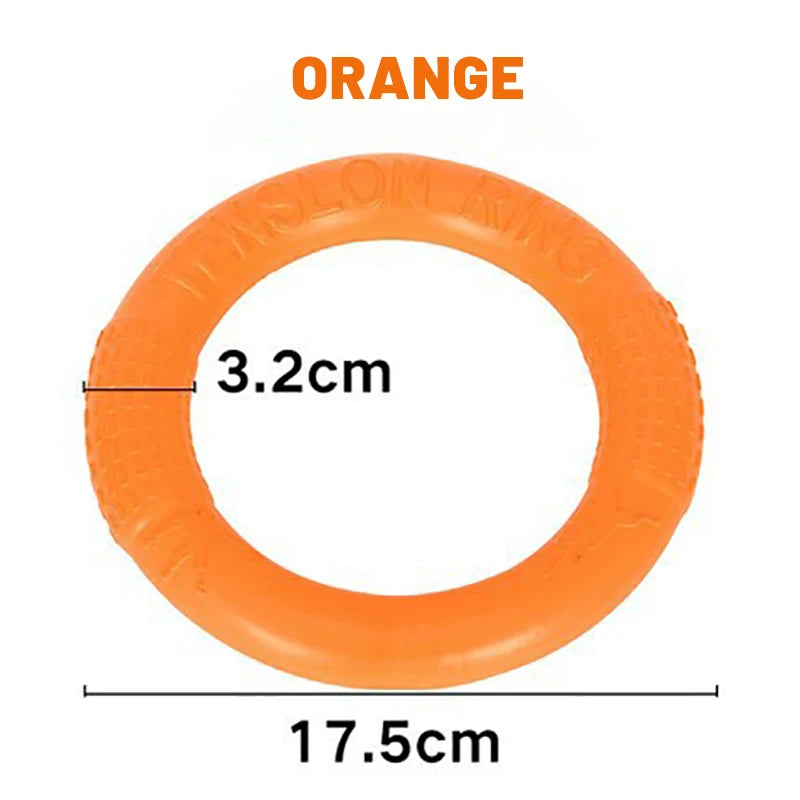 Rubber Flying Disk - Training & Chew Toy