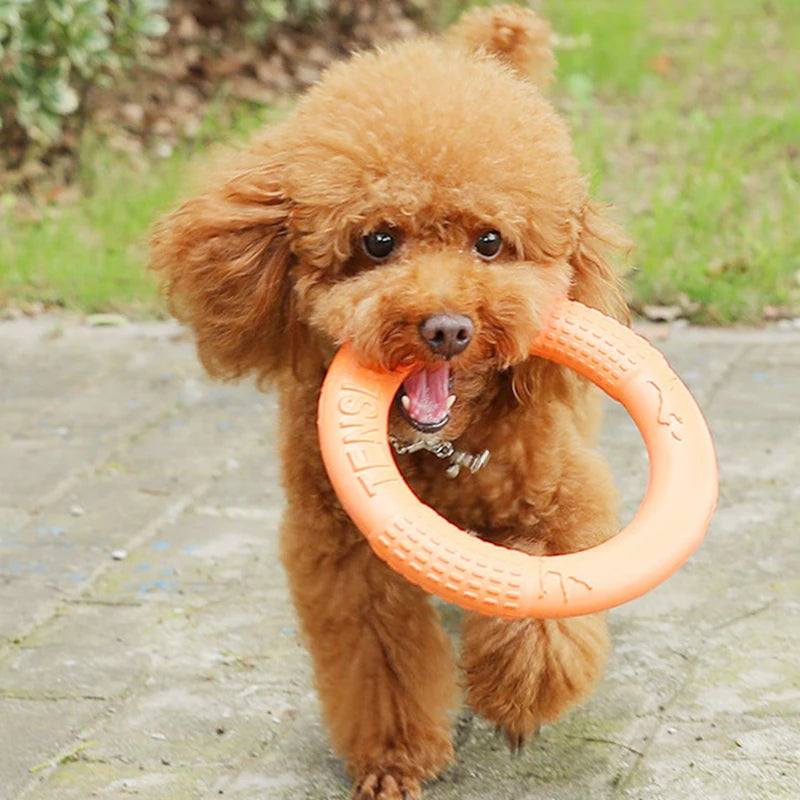 Rubber Flying Disk - Training & Chew Toy