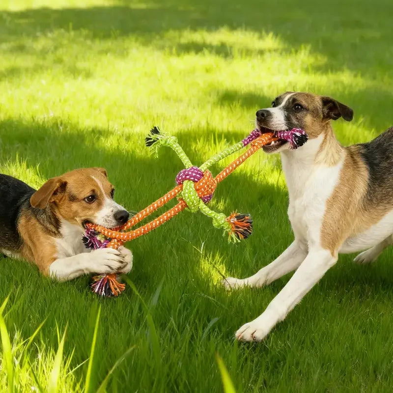 Colourful Rope Tug Toy – Strong, Fun & Perfect for Playful Dogs