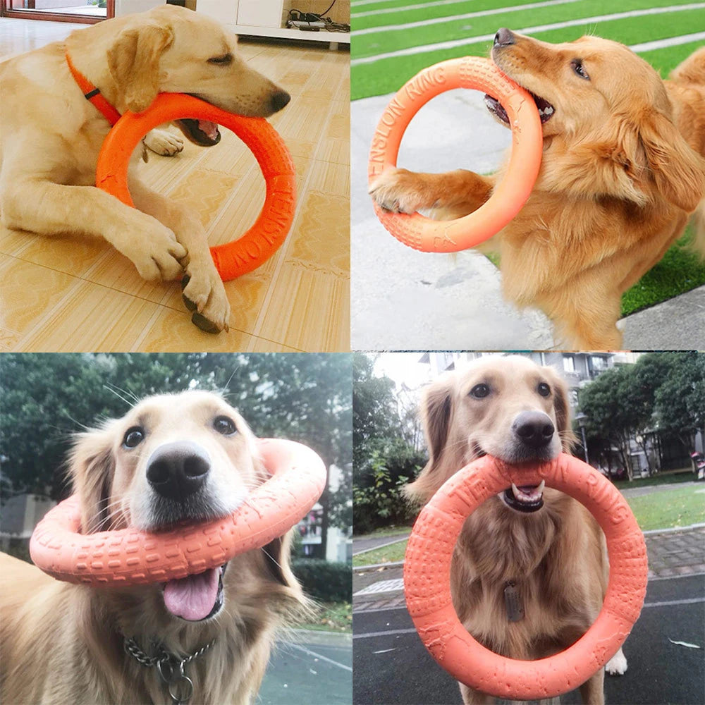 Rubber Flying Disk - Training & Chew Toy