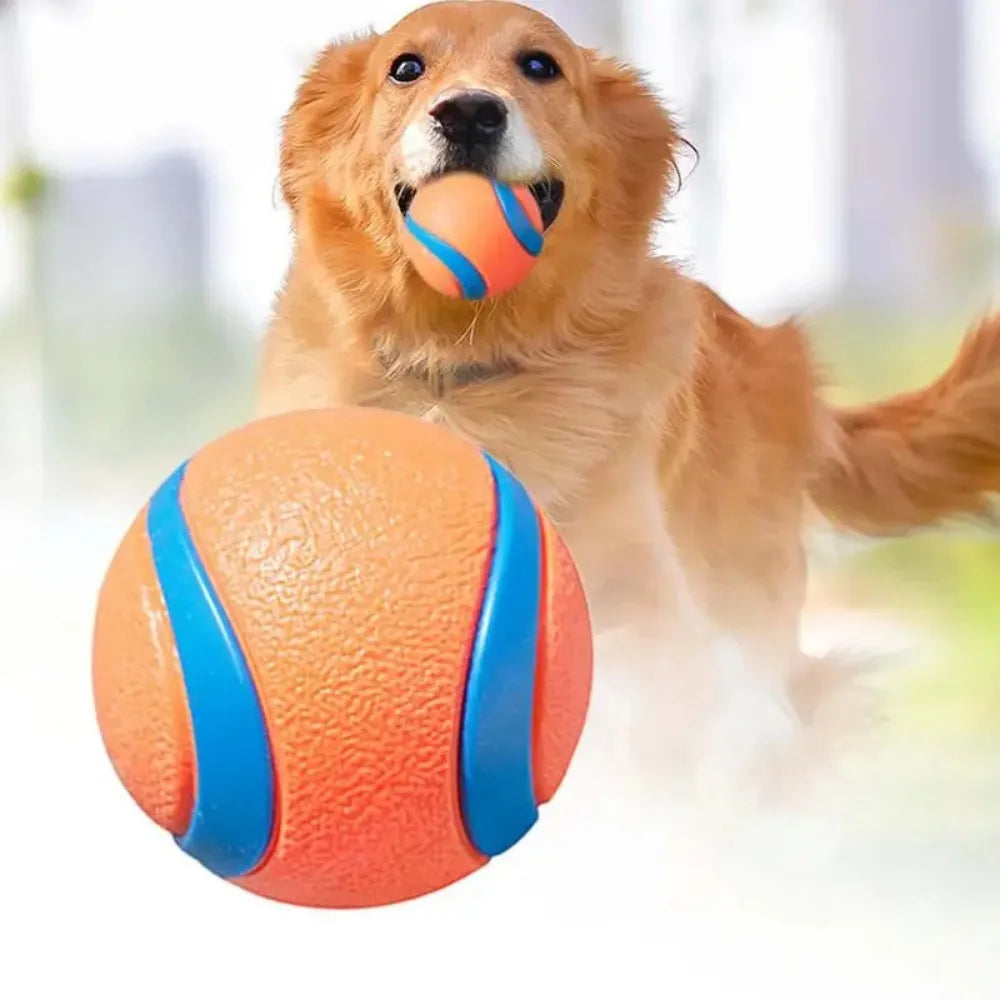 Elastic Fetch Ball – Bounce Higher, Play Longer, Train Smarter