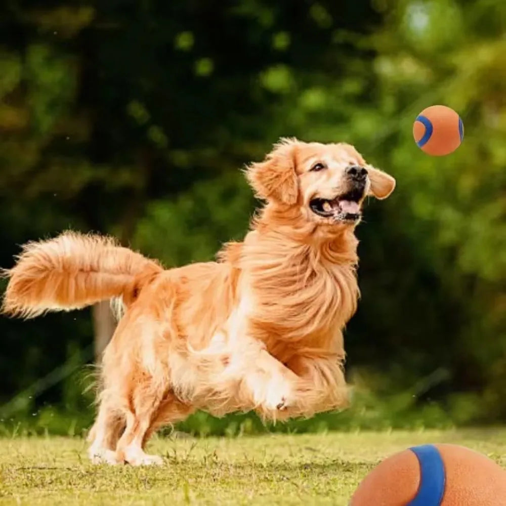 Elastic Fetch Ball – Bounce Higher, Play Longer, Train Smarter