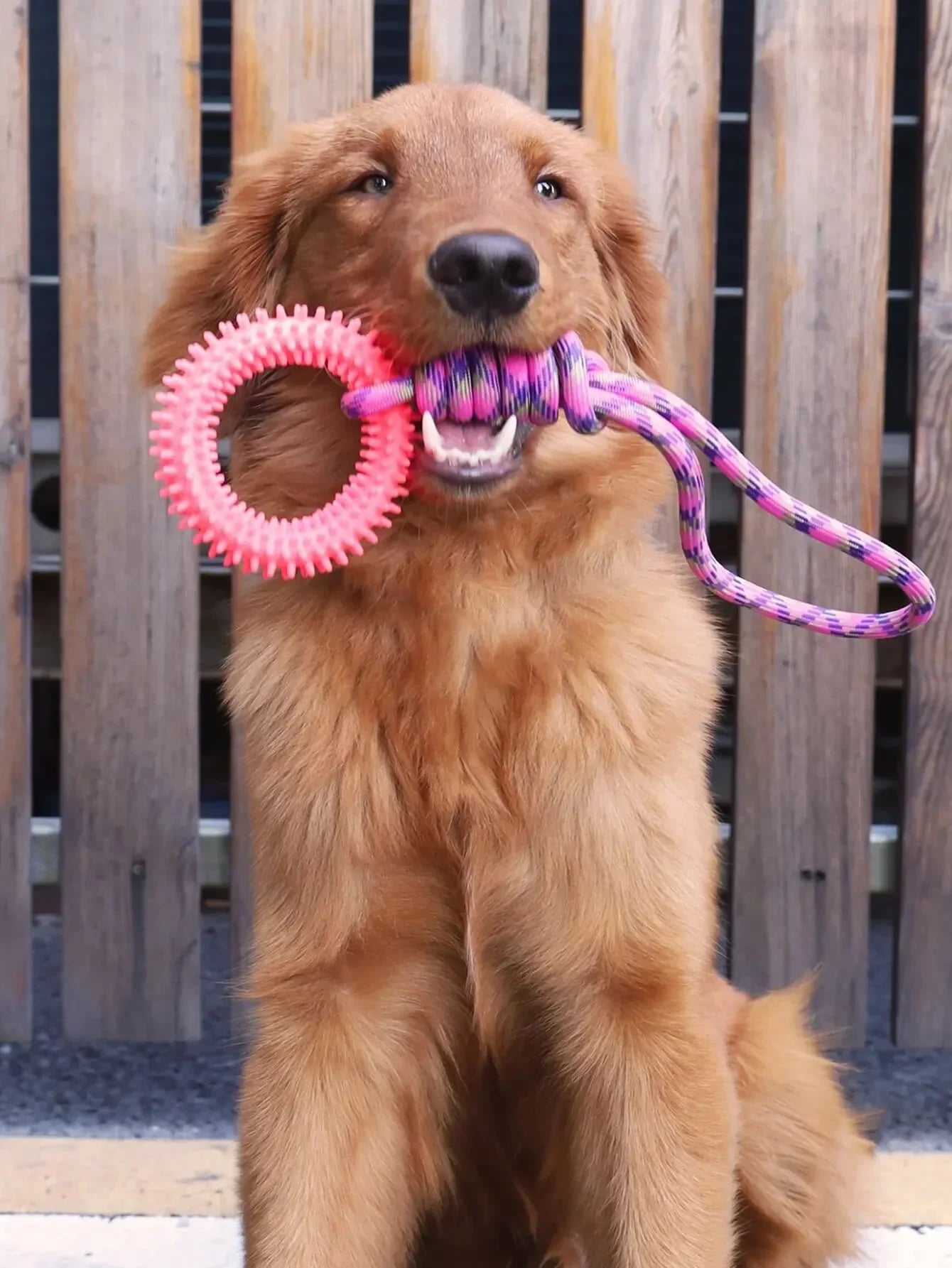 Rope & Ring Tug Toy – Durable, Fun & Perfect for Active Dogs