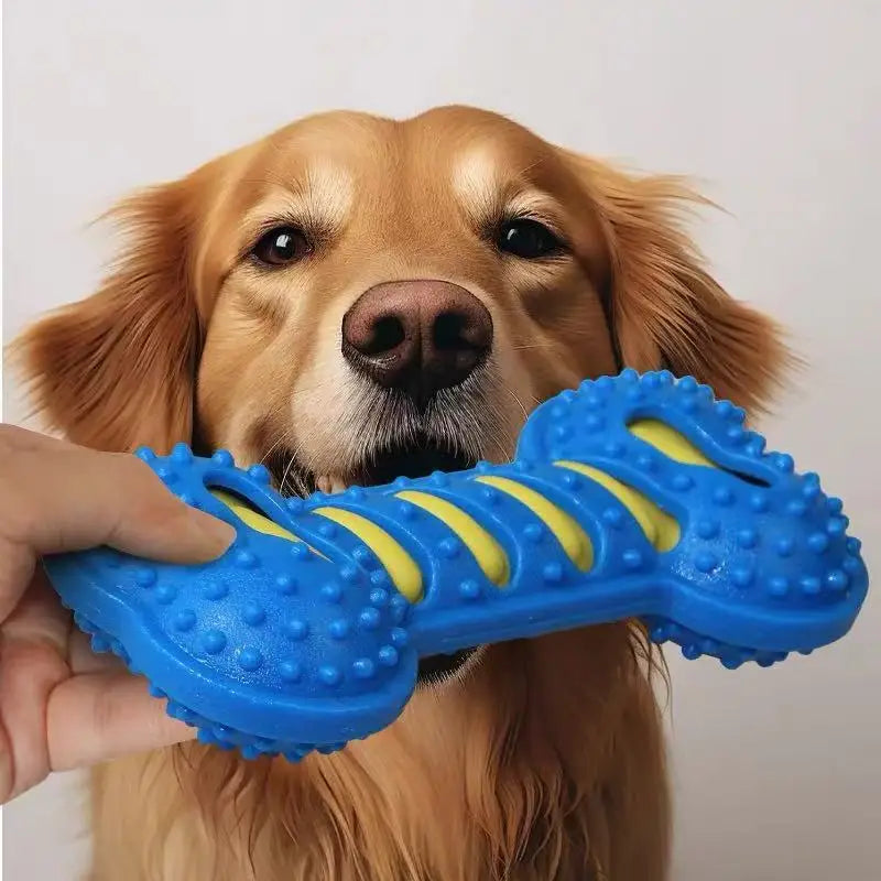 Durable Bone Chew Toy – Textured, Tough & Perfect for Daily Play