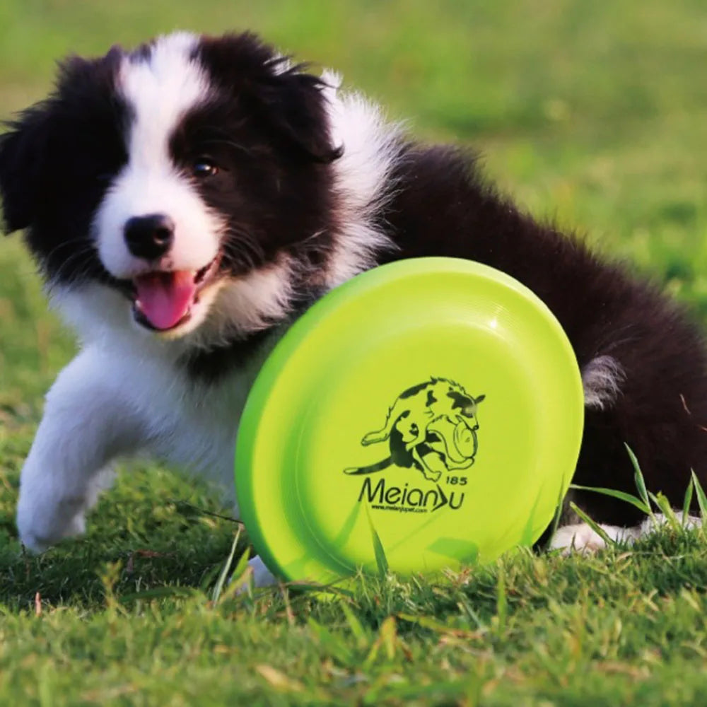 Dog Training Frisbee – Durable, Safe & Perfect for Active Dogs