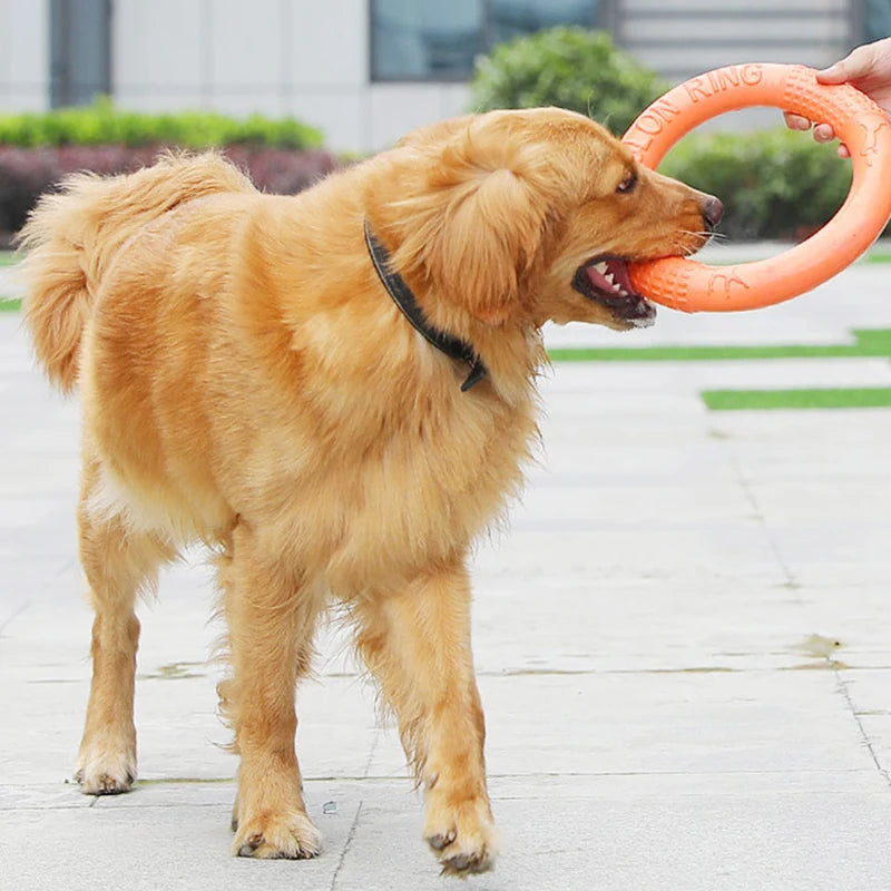Rubber Flying Disk - Training & Chew Toy
