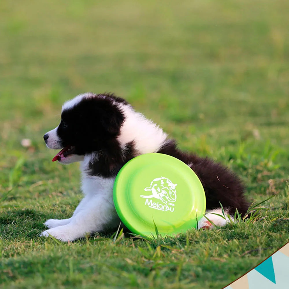 Dog Training Frisbee – Durable, Safe & Perfect for Active Dogs