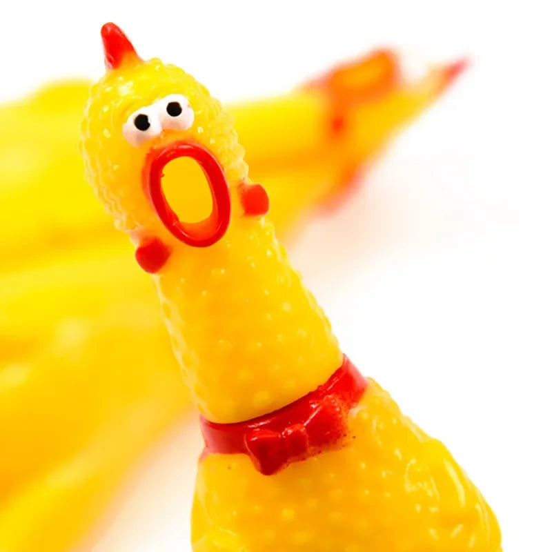 Screaming Chicken Chew Toy