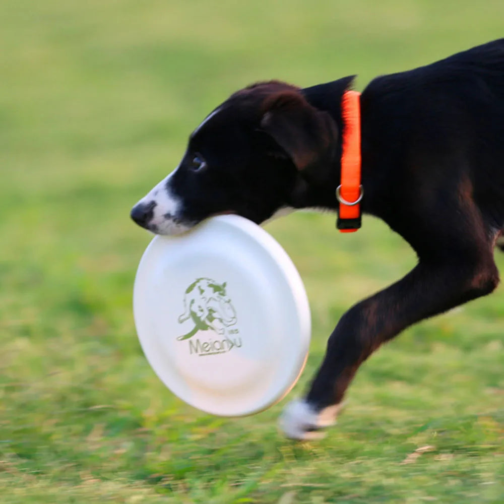 Dog Training Frisbee – Durable, Safe & Perfect for Active Dogs